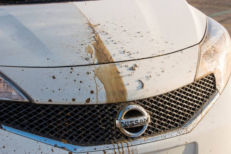 نیسان لیف، تمیزترین خودروی جهان